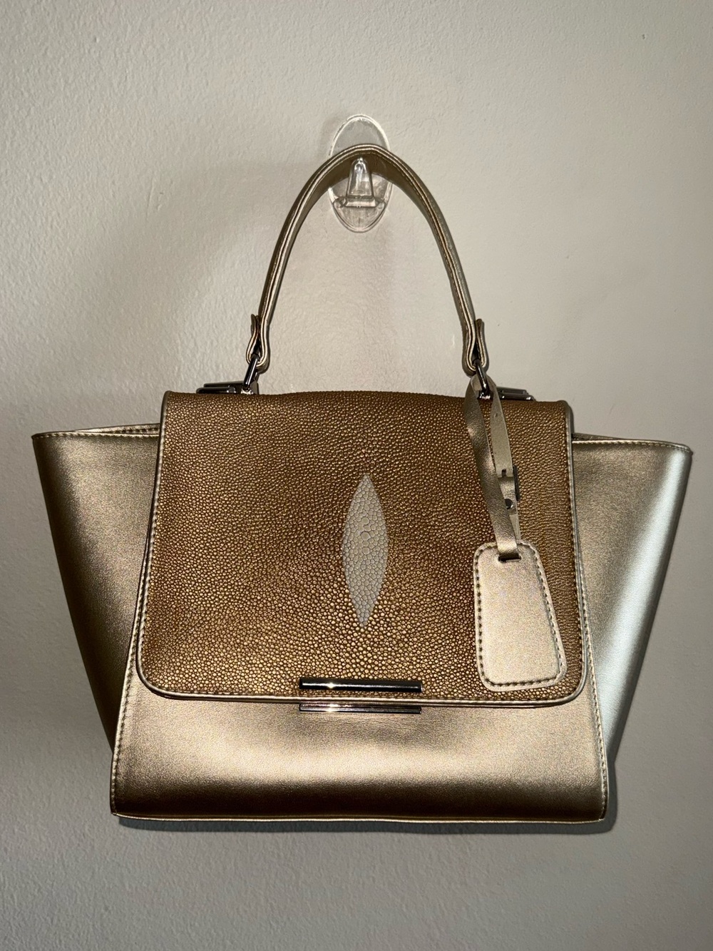 Rare Stingray Skin and Leather Bag